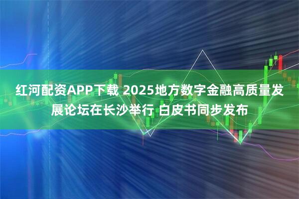 红河配资APP下载 2025地方数字金融高质量发展论坛在长沙举行 白皮书同步发布
