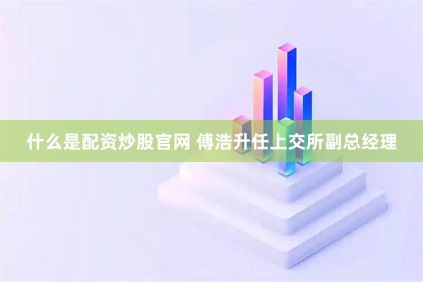 什么是配资炒股官网 傅浩升任上交所副总经理